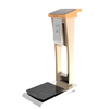 HW-S6 Coin Operated Weight Scale