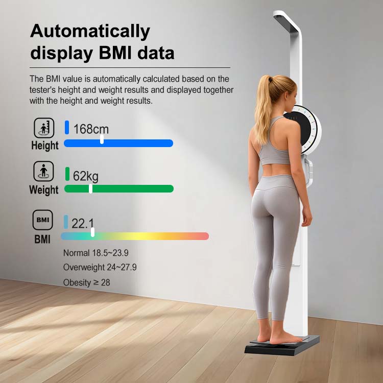 HW-500 New height weight fat scale